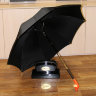  Зонт-трость Rainie с дизайнерской ручкой в форме головы собаки 1922